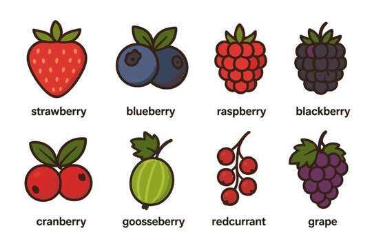 Examples of berry fruits are strawberry, blueberry, raspberry, blackberry, cranberry, gooseberry, redcurrant, and grape