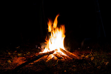 A bonfire burning wood at night. Campfire.