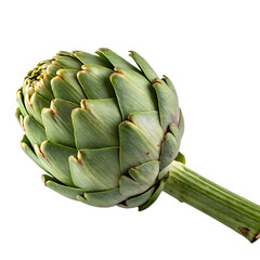 Fototapeta premium A artichoke isolated on a transparent background