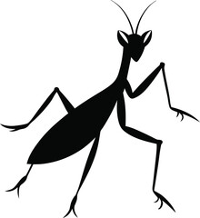 Mantis Silhouette vector with white background