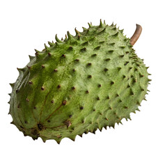 A soursop isolated on a transparent background