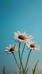 Vibrant Dandelion in Bloom: Close-Up Macro Shot of Purple and White Flowers in Summer Meadow with Blue Sky, Wild Grass, and Thistle | Nature, Flora, Spring