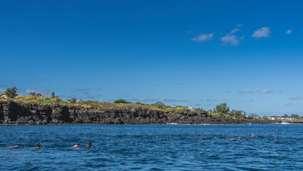 A group of dolphins in the blue ocean. Backs and dorsal fins above water. Nearby people are swimming, watching. Green vegetation on the rocky shore of the island. Blue sky, clouds. Mauritius. 