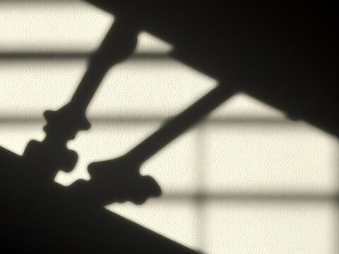 Organic Form Shadows