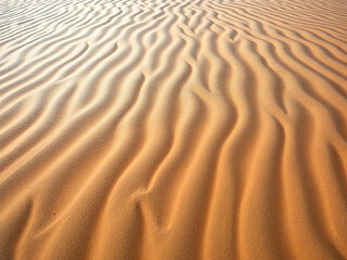 Fototapeta premium Desert Sand Ripples