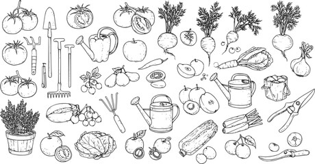 Collection of hand-drawn vegetable and fruit illustrations showcasing a variety of produce and gardening tools, vector set