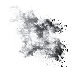 A swirling cloud of gray smoke, creating an abstract, dynamic shape with a sense of movement and depth.