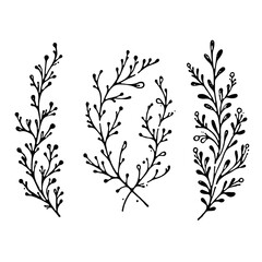 Hand drawn wild flowers Botanical drawing. Simple line art frieze, stems illustration. Black and White Meadow herbs. Stylized blooming twigs plants. Set of outline doodle floral sketch Leaves border