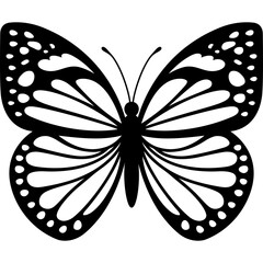 butterfly vector illustration