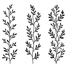 Hand drawn wild flowers Botanical drawing. Simple line art frieze, stems illustration. Black and White Meadow herbs. Stylized blooming twigs plants. Set of outline doodle floral sketch Leaves border