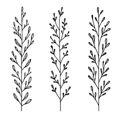 Hand drawn wild flowers Botanical drawing. Simple line art frieze, stems illustration. Black and White Meadow herbs. Stylized blooming twigs plants. Set of outline doodle floral sketch Leaves border