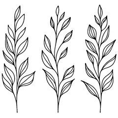 Fototapeta premium Hand drawn wild flowers Botanical drawing. Simple line art frieze, stems illustration. Black and White Meadow herbs. Stylized blooming twigs plants. Set of outline doodle floral sketch Leaves border