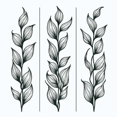 Hand drawn wild flowers Botanical drawing. Simple line art frieze, stems illustration. Black and White Meadow herbs. Stylized blooming twigs plants. Set of outline doodle floral sketch Leaves border