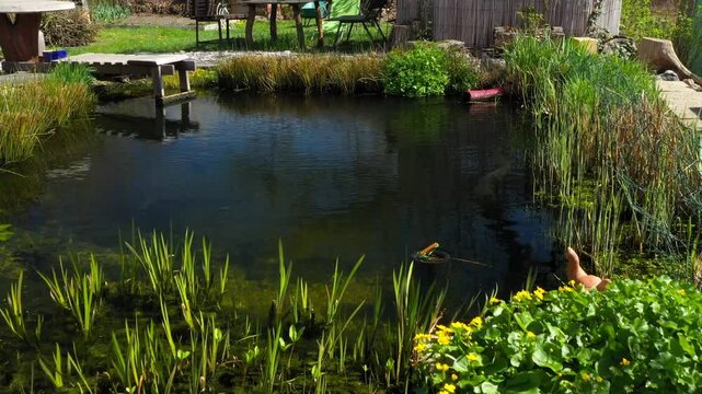 Root wastewater treatment plant as a garden pond. Relaxation zone with fish farming in an organic garden from above. Sustainable development in gardening and aquaculture.