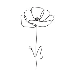 Minimalist Poppy Flower Single Line Art Drawing Botanical Illustration