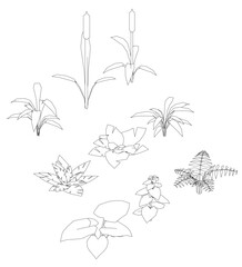 A drawing of various plants and flowers in black and white. The drawing is of different sizes and shapes, with some plants being taller than others. The mood of the drawing is calm and peaceful