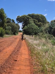 Beautifull Tattooed Girl