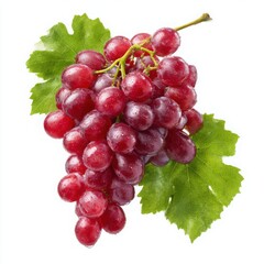 Fototapeta premium Red grapes with leaves isolated on white background