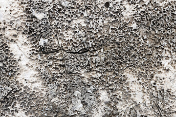 Weathered Fossil Limestone with Cracks and Pores