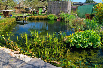 Root wastewater treatment plant as a garden pond. Relaxation zone with fish farming in an organic garden from above. Sustainable development in gardening and aquaculture.