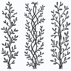 Hand drawn wild flowers Botanical drawing. Simple line art frieze, stems illustration. Black and White Meadow herbs. Stylized blooming twigs plants. Set of outline doodle floral sketch Leaves border