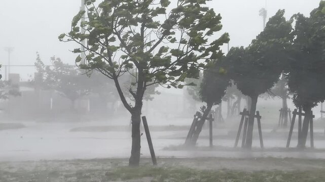 Wild Wind And Torrential Rain In Eyewall Of Hurricane - Khanun