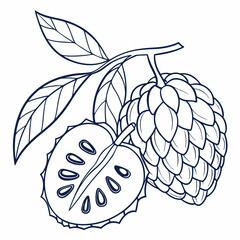 vector illustration of an apple with leaves