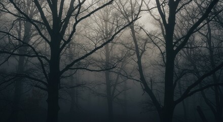 Obraz premium Foggy Forest with Bare Trees in Winter