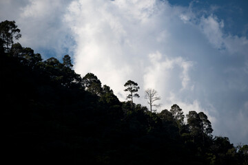 Trees and plants on the slope of the mountain create a natural backdrop filled with various clouds. This picturesque scene showcases the beauty of nature.