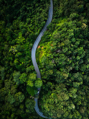 Road in the middle of the forest , road curve construction up to mountain, Rainforest ecosystem and healthy environment concept.