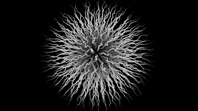 Abstract White Tendrils Pulsing and Undulating on a Black Background Seamless Loop