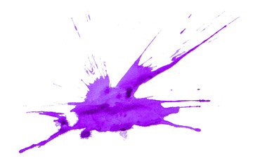 Purple watercolor splash with dynamic splash effect on transparent background. Watercolor brush.