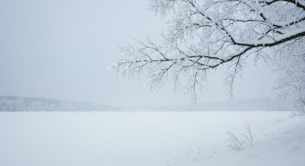 Fototapeta premium Winter Landscape with Snow Covered Lake and Trees
