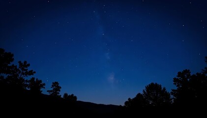 Dark night sky with bright twinkling stars over silhouette of trees, stars, space, night