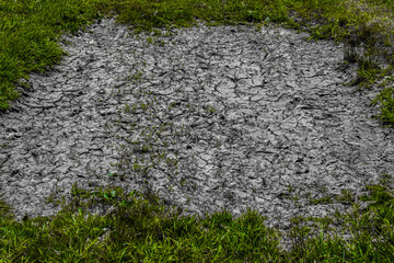 dry mud with textured back round