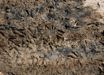soil texture background