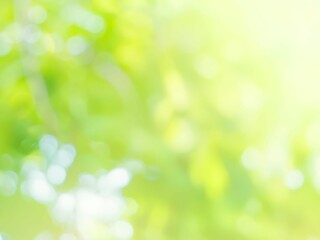 新緑の木漏れ日の様子。爽やかな光の風景。