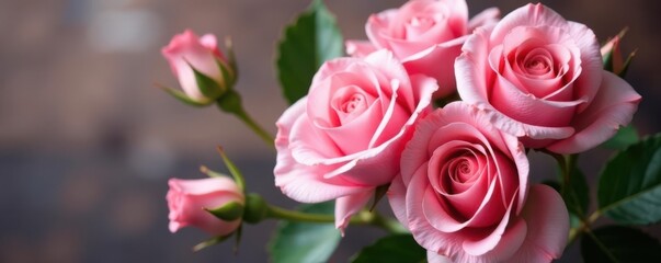 Fototapeta premium Delicate pink roses, lush blooms, elegant bouquet, bouquet of roses, gift