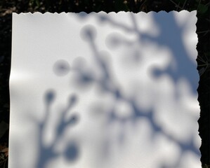 A blank sheet of textured paper casts soft shadows from nearby branches, creating an artistic interplay of light and nature.