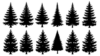 Fototapeta premium silhouettes of diverse evergreen trees with unique shapes and branches for nature-inspired designs, digital art, posters, and educational materials 
