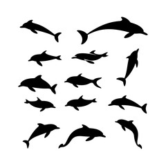 Fototapeta premium Dolphin Jumping Silhouette on White