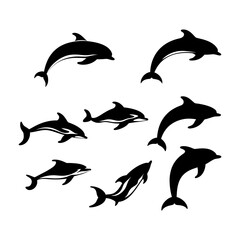 Fototapeta premium Ocean Dolphin Silhouette for Marine Themes