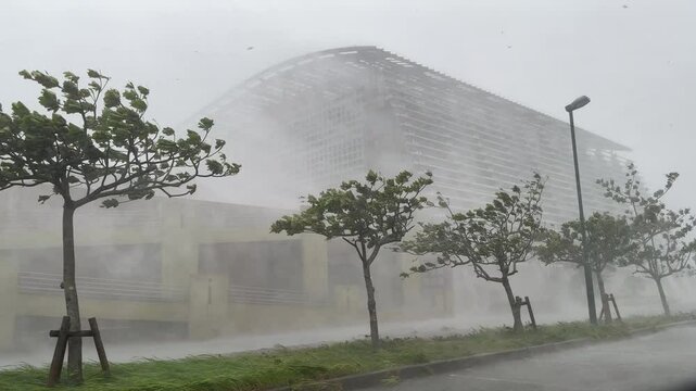 Major Hurricane Powerful Gusts Of Wind Sheets Of Rain - Khanun