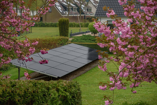 Solar panels stretch across a lush garden landscape, framed by blossoming cherry trees in suburban setting.Solar panels, mounted on the ground in the yard of a residential home.