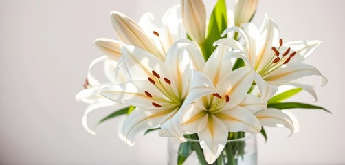 Fototapeta premium Elegant white lilies in a glass vase, sunlight illuminating petals, elegance, delicate