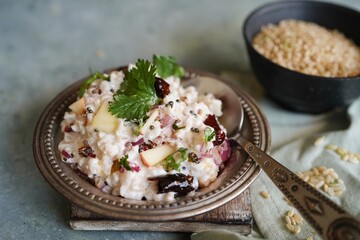 Yogurt or Curd rice with brown rice, selective focus