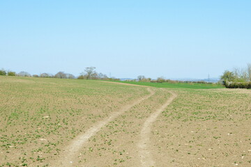 Dirt track through a farmland field in spring