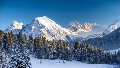 Fototapeta premium winter wonderland snowy mountain peaks and forest
