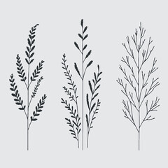 Black and White Meadow wild herbs Herbaceous blooming plants. Set of outline doodle floral sketch Leaves. Hand drawn Wheat rye. Ears Botanical drawing. Line art grasses stems grain spikes illustration