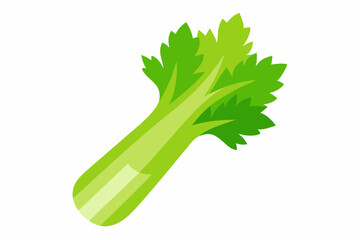 celery vector illustration